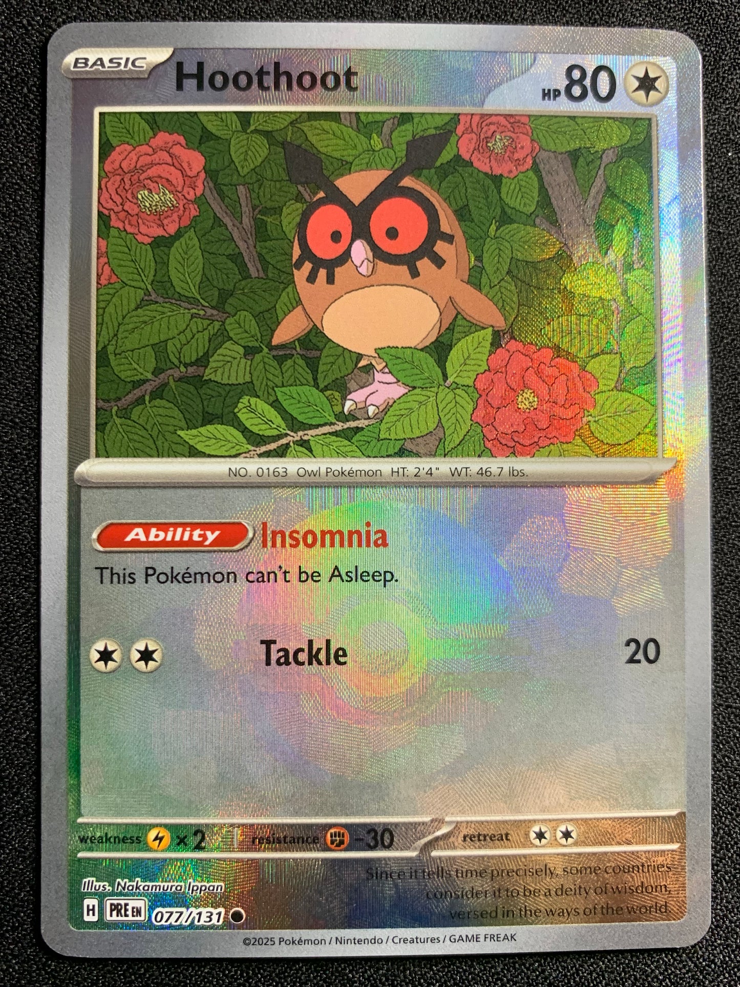 Hoothoot [Poke Ball] #77 -  Prismatic Evolutions